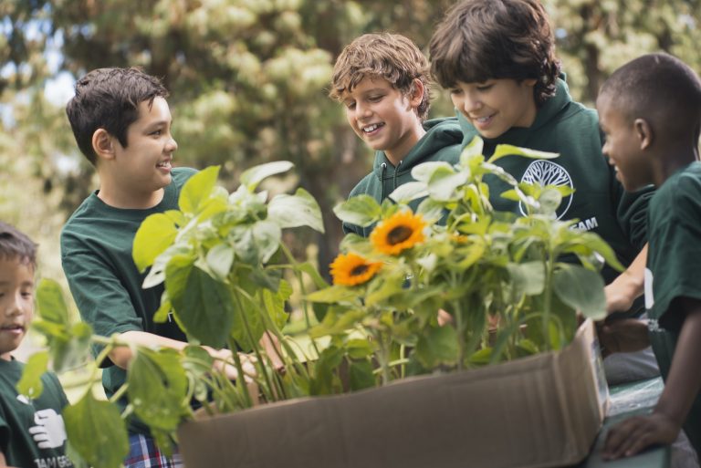 Children in a group learning about plants and flowers looking at sunflowers and young plants.