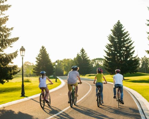 Friends cycling on country road, back view.